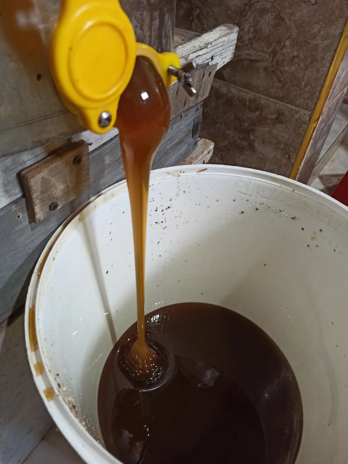 عسل شوك الصر from Ghardaia
