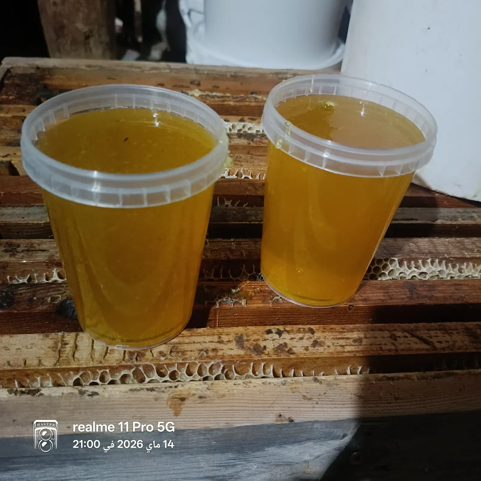 عسل شوك الابل  de Djelfa