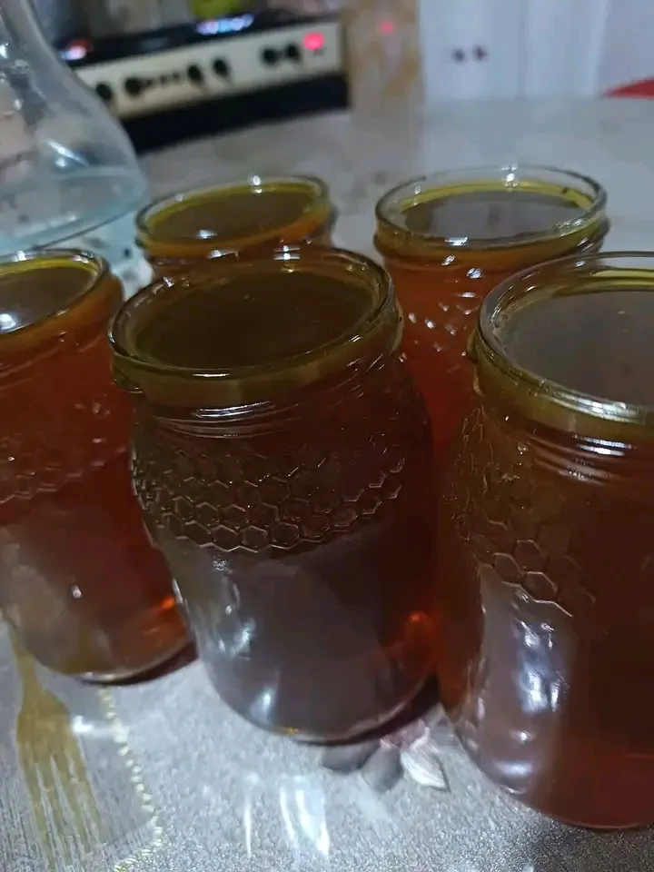 عسل المرار de Sidi Bel Abbes