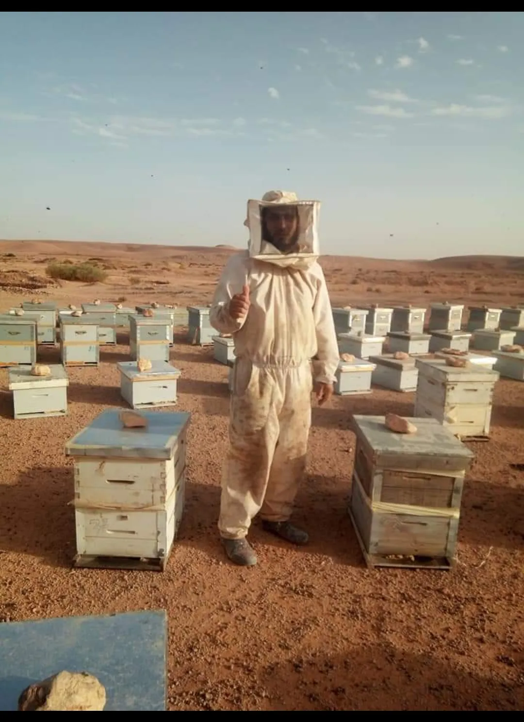 عسل سدر مخلط شوكيات وحرمل ونجميات from Ghardaia