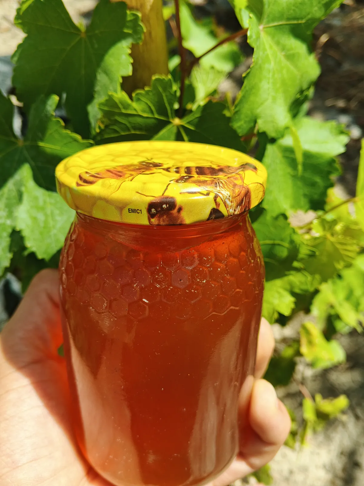 Multifloral honey from Mila